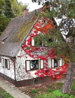 Charmantes Einfamilienhaus mit großem Garten in ruhiger Lage, Villingen-Schwenningen! - Villingen-Schwenningen