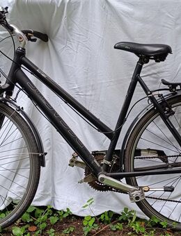 Damenfahrrad Pegasus 28" - Düsseldorf