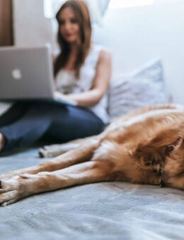 Homeoffice? Kein Problem! Ausreichend Platz für Arbeit & Leben in einem Haus von Bien-Zenker! - Ahaus