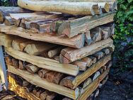 Brennholz Fichte Kiefer ca 1Ster 1m Scheite trocken - Ilbesheim (Landau)