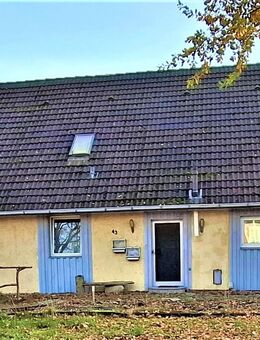 Einfamilienhaus freistehend in Buchholz (Aller) mit Terrasse, Balkon, XXL - Garage und 2 Carport - Neustadt (Rübenberge)