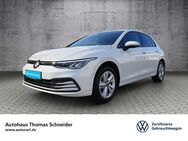 VW Golf, 1.0 VIII Life eTSI AG 3J, Jahr 2023 - Reichenbach (Vogtland)