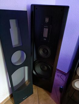Standlautsprecher Infinity IRS Omega High End Lautsprecher in Esche schwarz Rarität - Coesfeld
