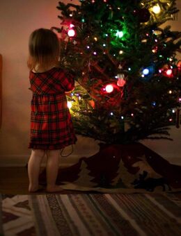 Weihnachten 2026 im eigenen Haus - Dürrröhrsdorf-Dittersbach