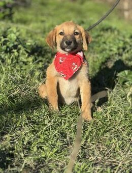 PANYA ❤️ unser Krönchen - Mylau
