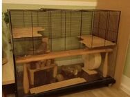 Nagarium für Hamster oder Rennmäuse, optional mit Laufrad - Angermünde