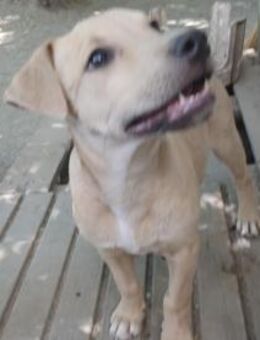 Keni ist ein süßer kleiner Kerl - Olsberg