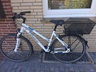 Fahrrad zu verkaufen - Bendestorf