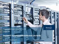 Senior IT-Systemadministrator (m/w/d) - Brühl (Nordrhein-Westfalen)