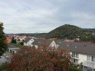 Blick auf den Hausberg von Suhl - Suhl