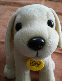 Hakle-Plüsch-Hund,ca. 18 cm - Linnich