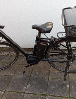E-Bike Tiefeinsteiger - Homburg