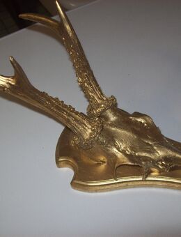 Dekogeweih goldfarben - Erwitte
