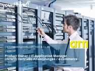 Product Owner / IT-Application Manager (m/w/d) Vertriebs-Anwendungen / e-commerce - Kiel