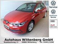 VW Golf, 1.5 TSI VIII Life, Jahr 2021 - Wittenberg (Lutherstadt) Wittenberg
