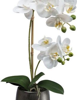 Kunstorchidee Orchidee Phalaenopsis, Creativ green, Höhe 48 cm, mit real-touch-Blüten
