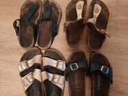 Sommerliche Birkenstocks von junger Studentin - Gießen