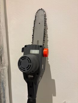 Sehr gut erhaltener Hochaster von Kraftixx - Potsdam