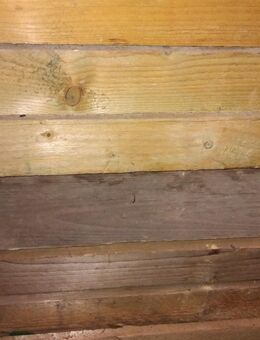 Spachen Holzbalken 10Stck an der Zahl ,die Maße 4meter lang 11 - Kasbach-Ohlenberg