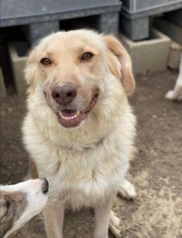 Quendulin mag Kinder - Steinhagen (Nordrhein-Westfalen)