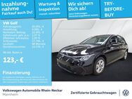 VW Golf, 2.0 TDI VIII Life, Jahr 2024 - Mannheim