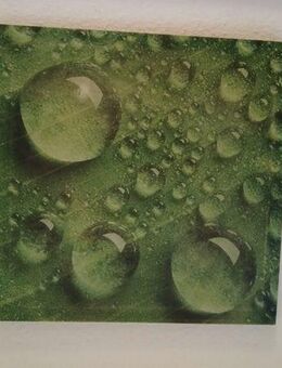 Wandbild grün - Düsseldorf