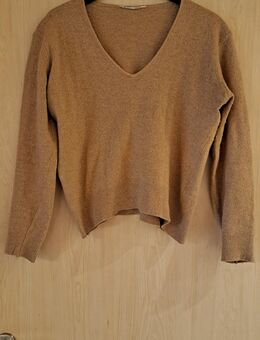 Klassischer Pullover von Hallhuber, Wolle, Winter, Gr. 36 bis 38 - Berlin Steglitz-Zehlendorf