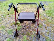 Stabiler Rollator - Gräfenroda