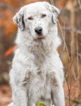 Leopold steckt voller Leben - München