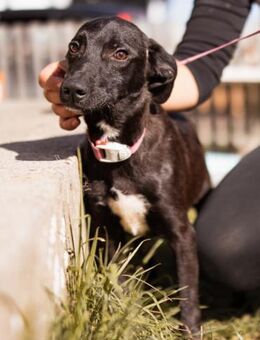 Paula 💗liebe, aktive, junge Zuckermaus! - Hamburg