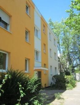 Schöner Wohnen: geräumige 3-Zimmer-Wohnung - Darmstadt