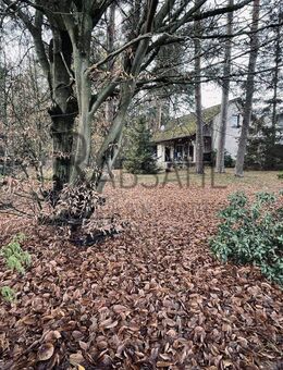 Sanierungsbedürftiges oder abbruchreifes EFH auf traumhaften (Bau)Grundstück in Waldrandlage! - Hambühren