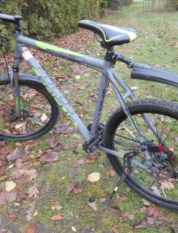 Top 26 Zoll WHISLER Sport ALU MTB - Müden (Aller)