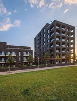 Diamant an der Schlei! - Schleswig