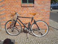Singlespeed Tretwerk Alma Schwarz Fixie - Berlin