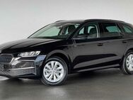 Skoda Octavia, 2.0 TDI IV Combi Selection, Jahr 2024 - Bützow