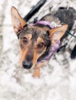 Besondere Miranda sucht ihre Familie - Duisburg