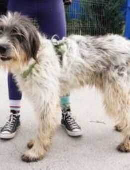 Taavis Abenteuer kann beginnen - München