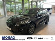 Ford Kuga, ST-Line X, Jahr 2020 - Recklinghausen