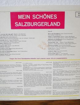 Mein schönes Salzburgerland-Vinyl-LP,Rar ! - Linnich