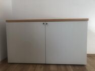 Büro- Wohnraumschrank 2-türig (Basis oder Ergänzung) - Hohenkammer