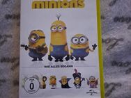 Minions - Wie alles begann - Nordenham Zentrum