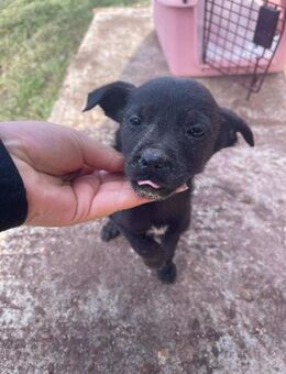 B696 sucht ihren Namen und Familie - Neuberg