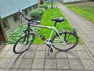 28 Zoll Bergamont Herren 7-Gang Trekking Fahrrad neuwertig - Königs Wusterhausen