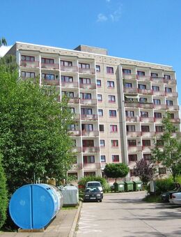 2 Zimmerwohnung in Leinefelde ab sofort zu vermieten - Leinefelde-Worbis