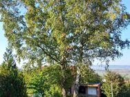 Idyllische Lage mit traumhaften Ausblick - Einfamilienhaus mit großem Garten und Doppelgarage in Salzderhelden - Einbeck