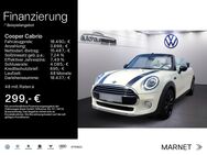 MINI Cooper Cabrio, 1.5, Jahr 2019 - Bad Camberg