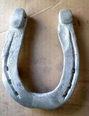 altes Hufeisen, Glücksbringer in 01099