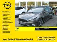 Ford Focus, 1.5 EcoBoost ST-Line, Jahr 2018 - Niederahr