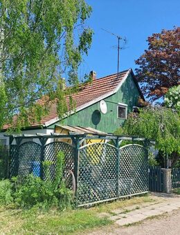 Einfamilienhaus für Individualisten in Alleinlage! - Herbsleben